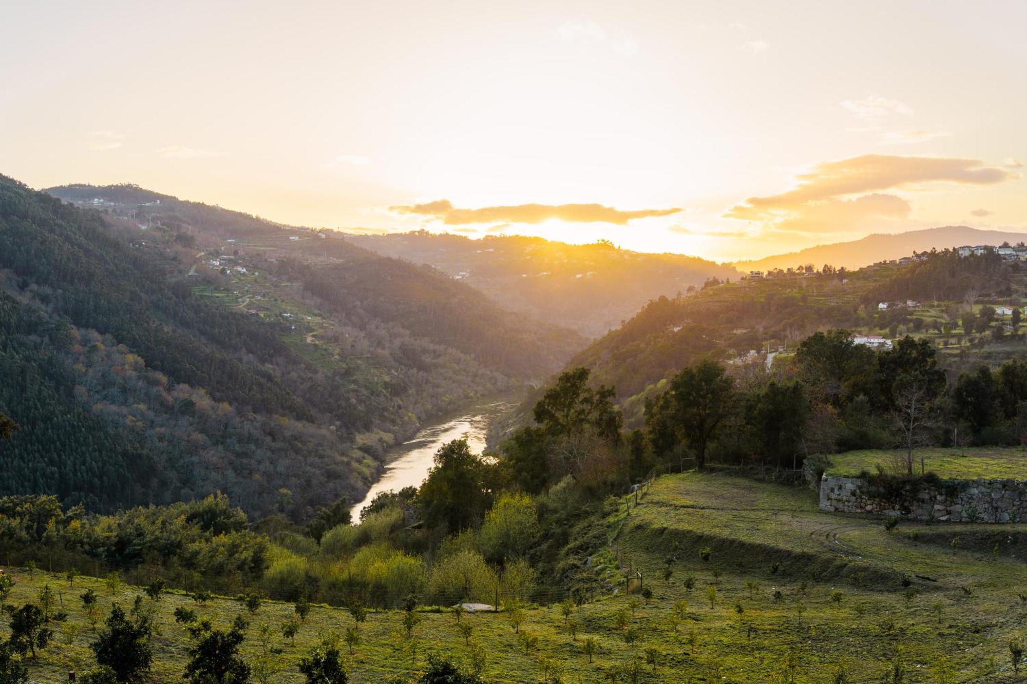 Javardo - Family House - Douro Penha Longa ภายนอก รูปภาพ